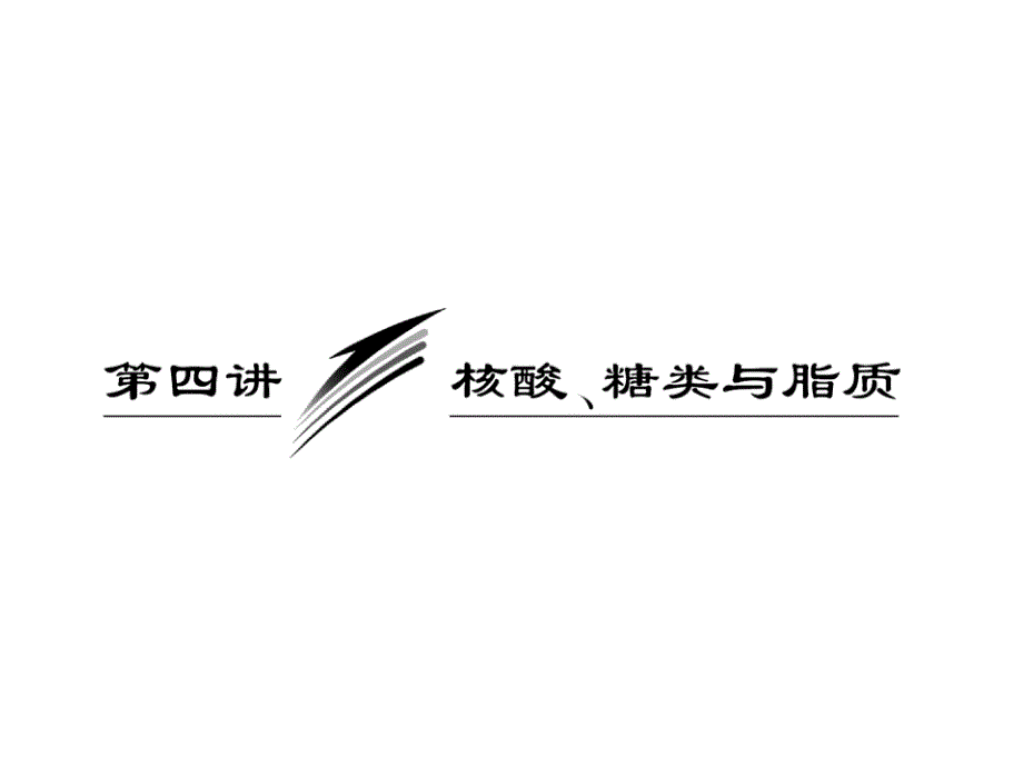 必修1第一单元第四讲核酸、糖类与脂质_第1页