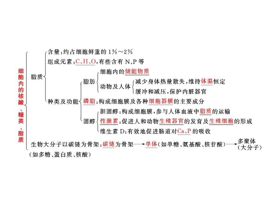 必修1第一单元第四讲核酸、糖类与脂质_第5页