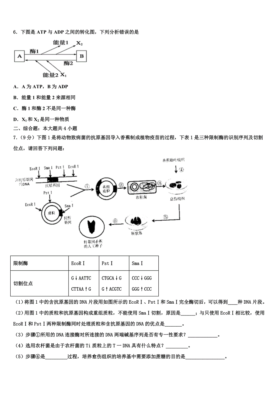 湖北省武汉市新洲一中阳逻校区2023年高二生物第二学期期末达标检测模拟试题（含解析）.doc_第2页