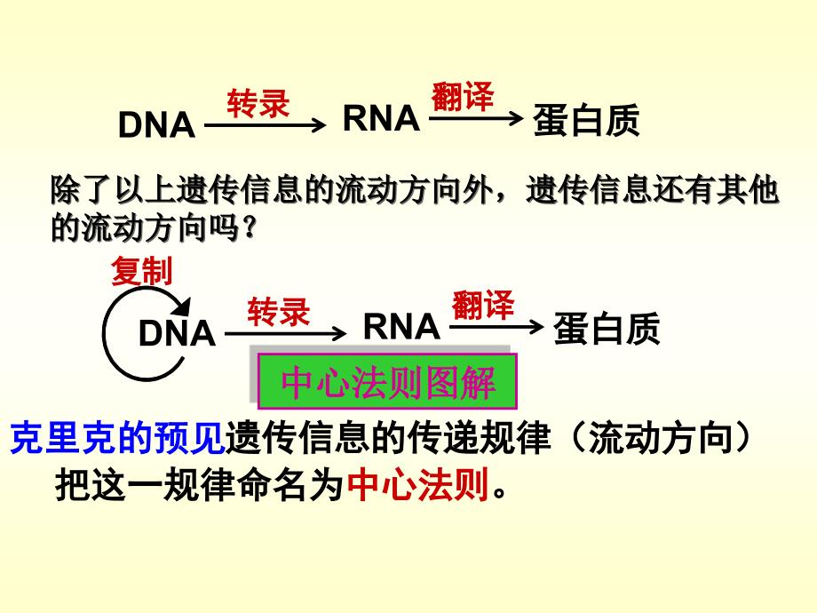 4.2基因对性状的控制课件杨媚_第3页