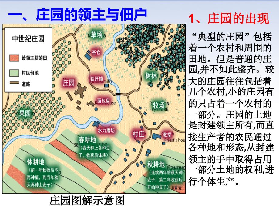 人教部编版九年级历史上册第8课西欧庄园ppt课件_第4页