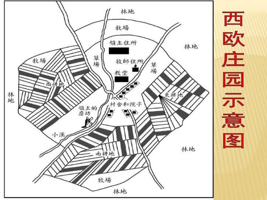 人教部编版九年级历史上册第8课西欧庄园ppt课件_第5页