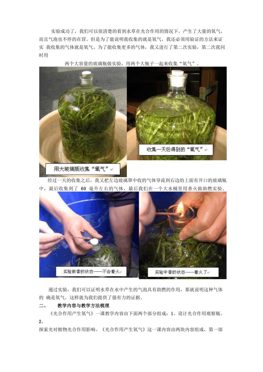 光合作用产生的氧气_第3页