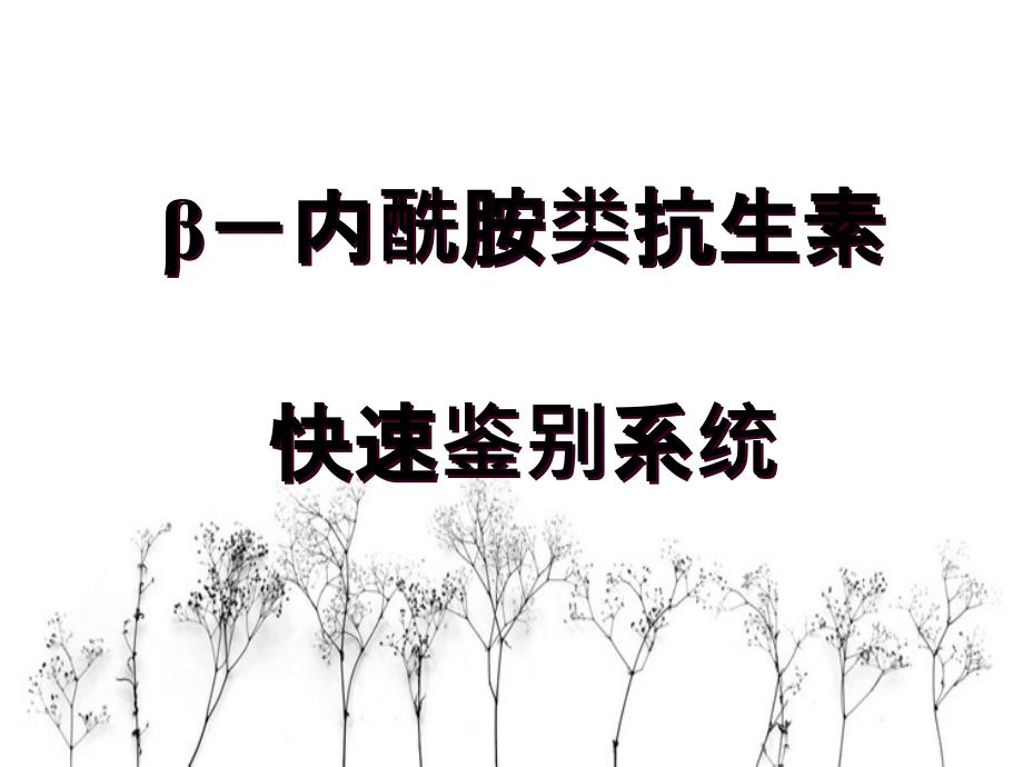 β-内酰胺类抗生素颜色反应快速鉴别系统讲义_第2页