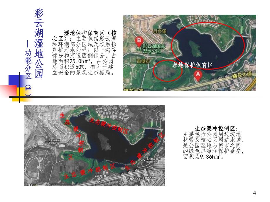 重庆彩云湖湿地公园彩云湖案例研究PPT课件_第4页