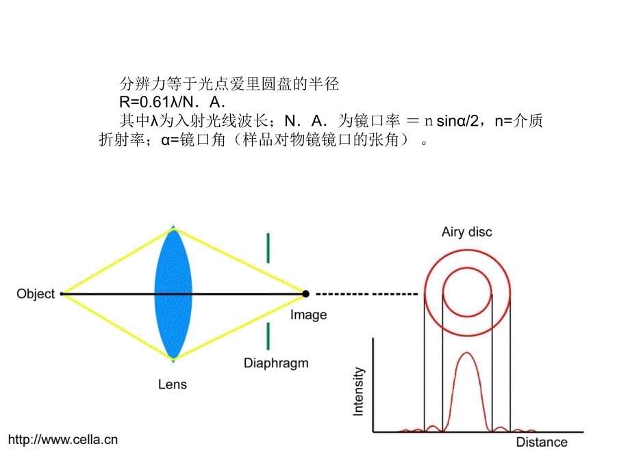 最新试验一光学显微镜应用及显微摄影技巧_第5页