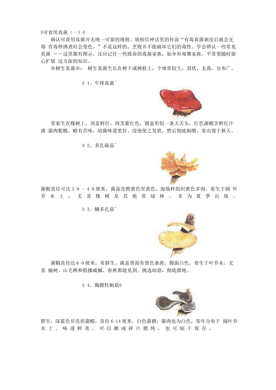 野外生存可食用真菌_第1页