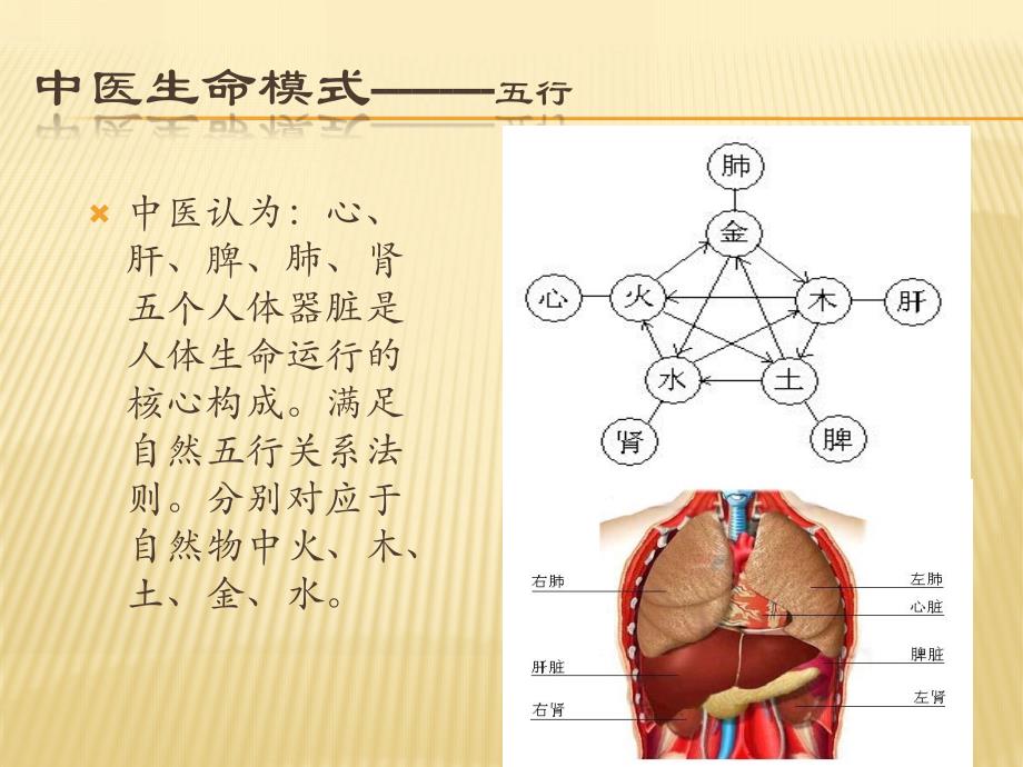 中医基础知识ppt课件_第4页