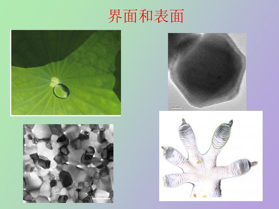 表面物理化学_第3页