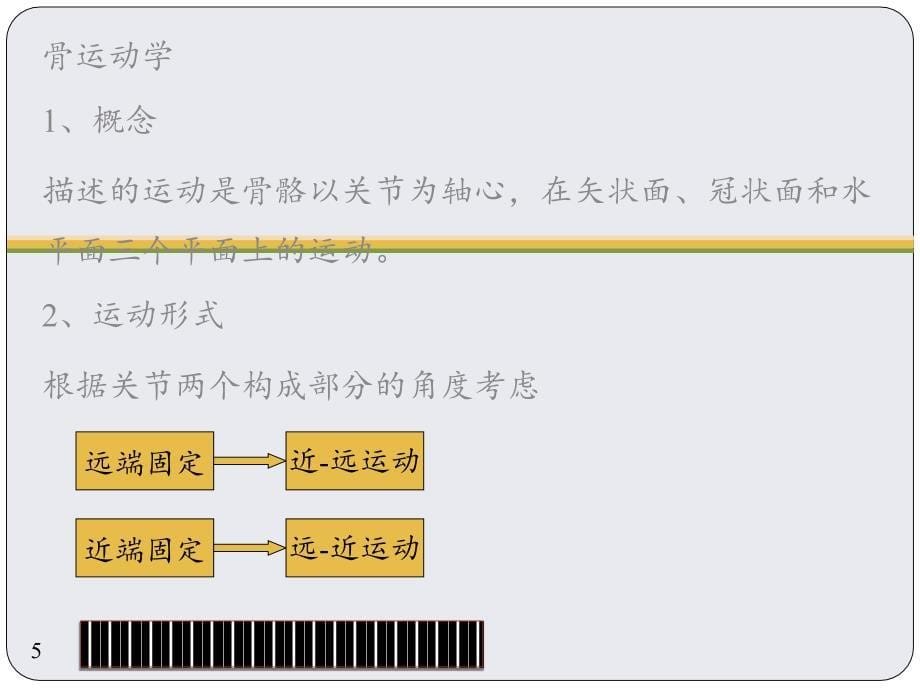 关节运动学肩关节PPT精品文档_第5页