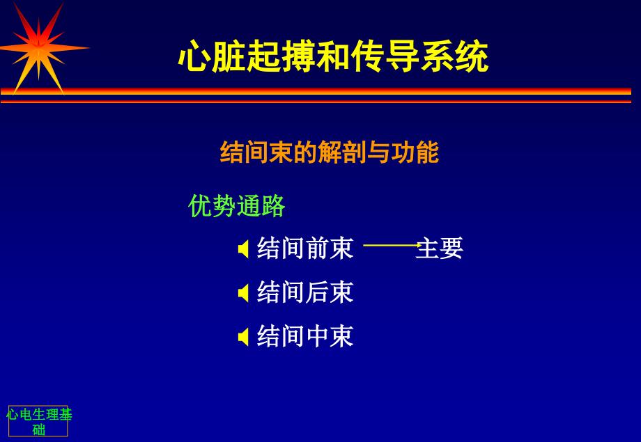 《心脏电生理基础》PPT课件_第4页