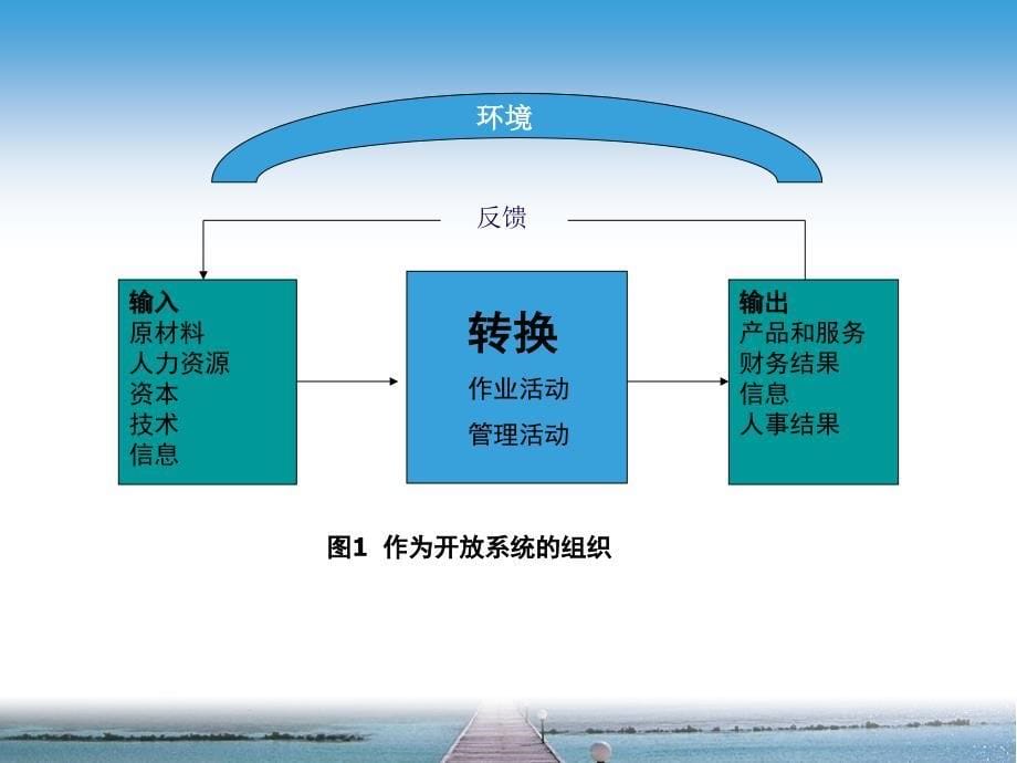 组织与环境PPT36页课件_第5页