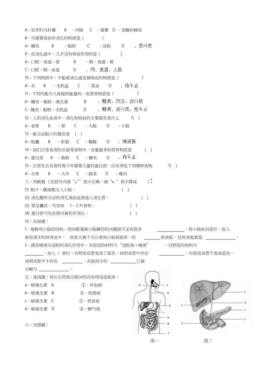 七年级下生物人体的营养测试题[共4页]_第2页