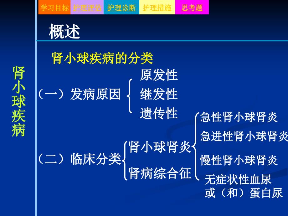 肾小球疾病病人的护理_第4页