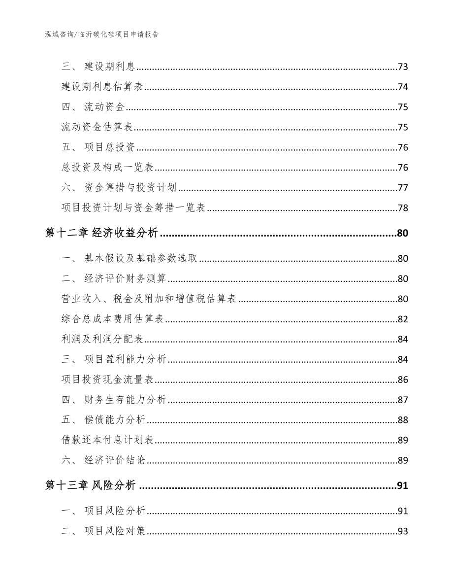 临沂碳化硅项目申请报告（模板参考）_第5页