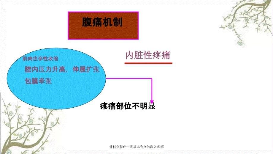 外科急腹症一些基本含义的深入理解_第5页