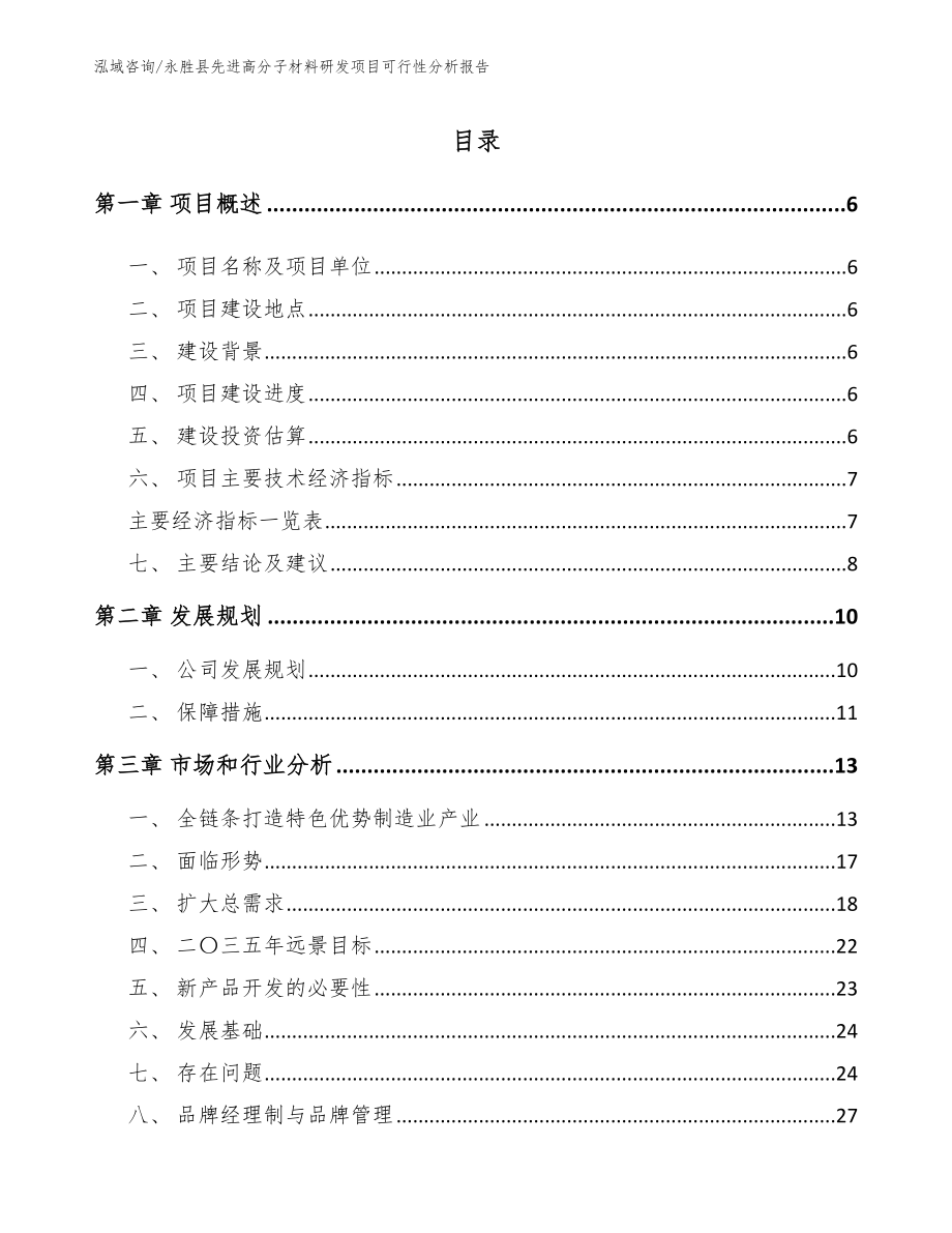 永胜县先进高分子材料研发项目可行性分析报告_模板参考_第1页