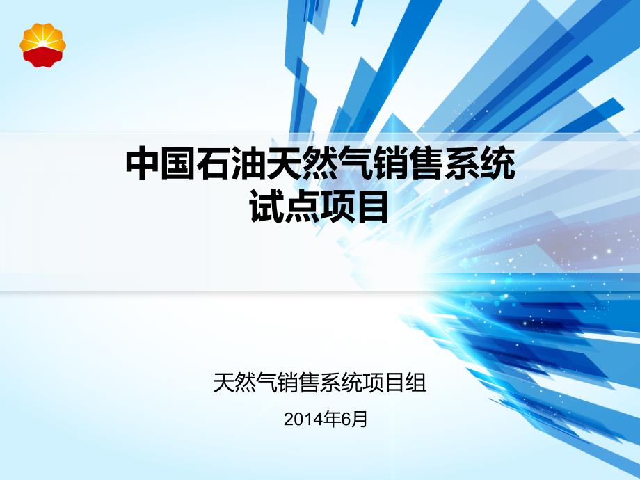 石油天然气销售系统试点项目课件_第1页
