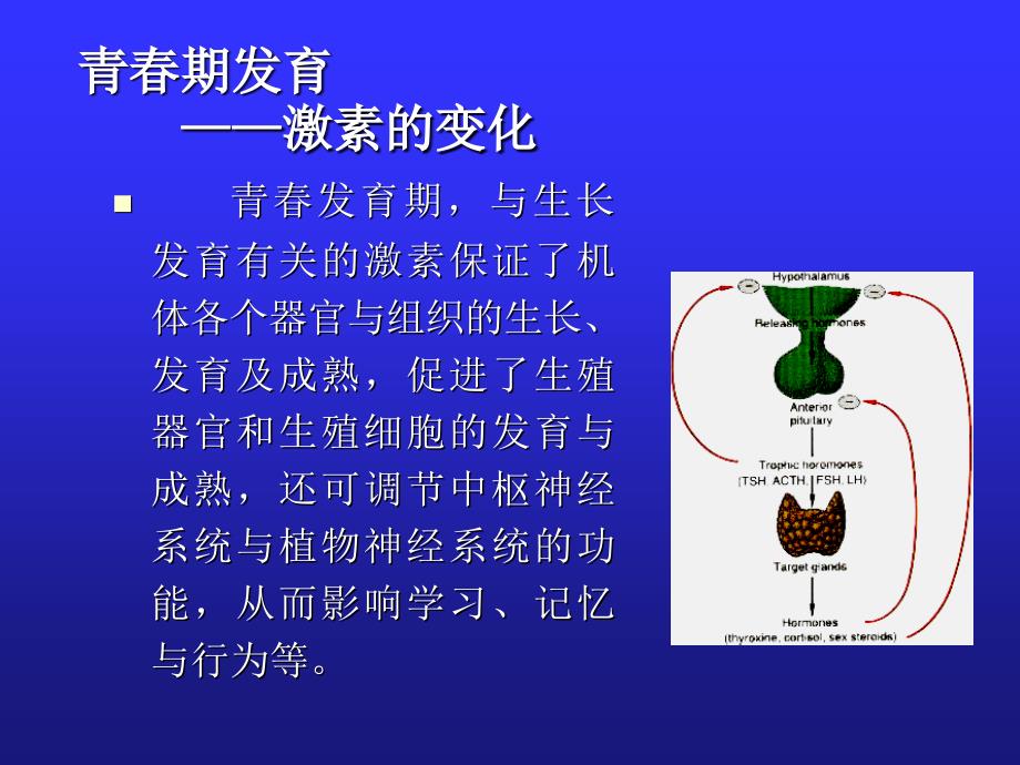 《青春期常见问题》PPT课件.ppt_第4页