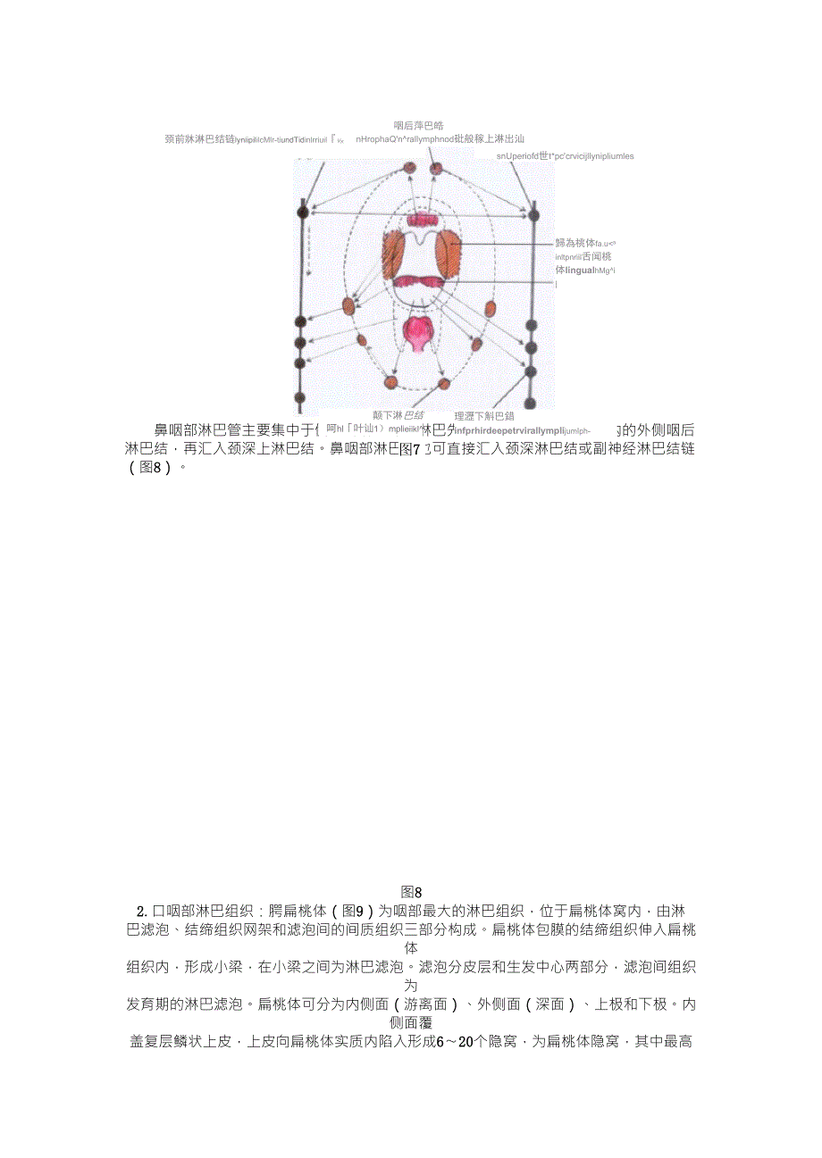 咽部应用解剖_第4页