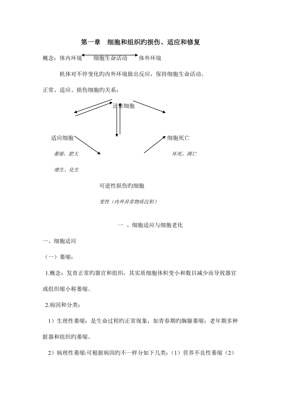 2023年病理考博笔记_第1页