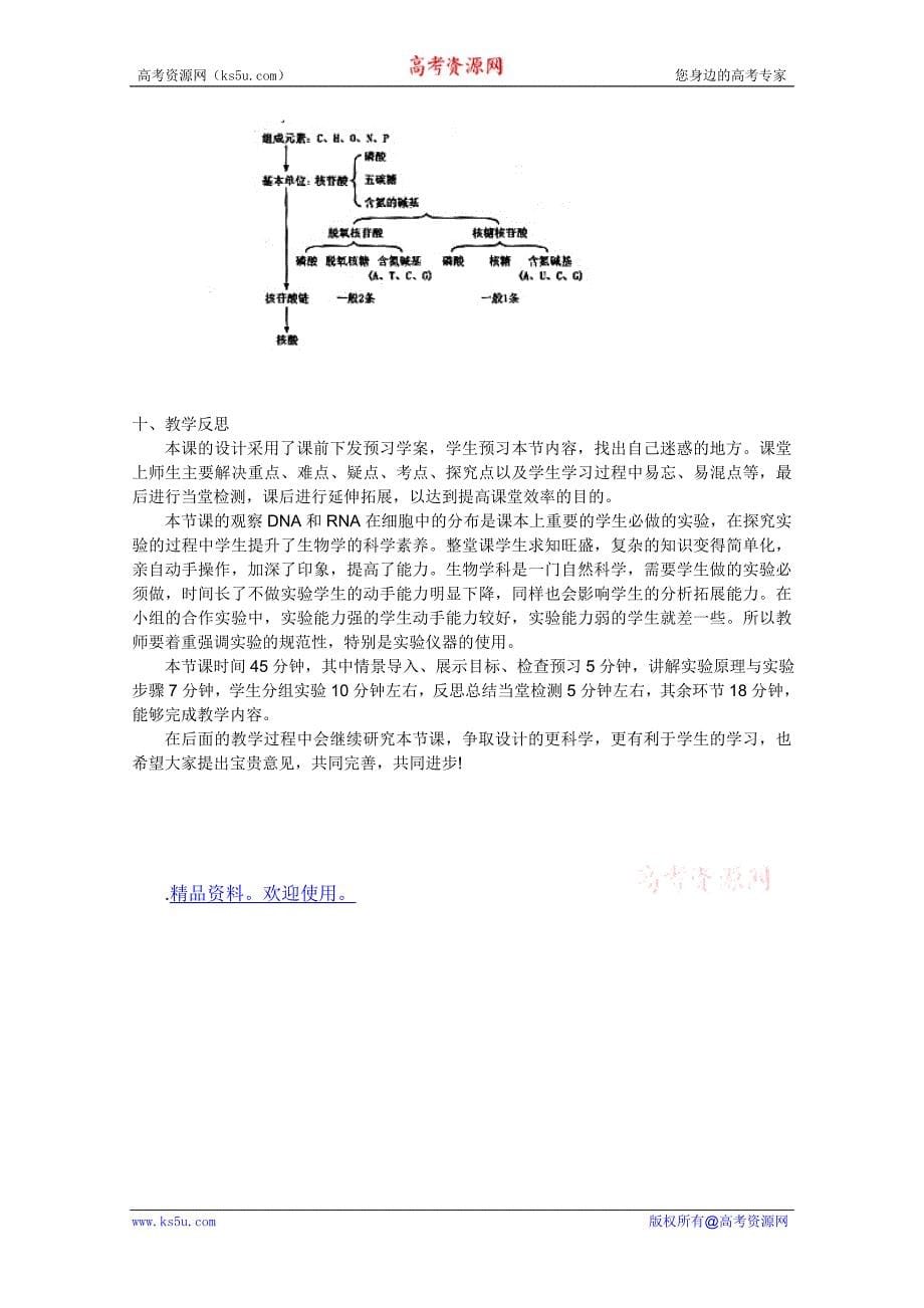 临清市生物必修一第二章第3节遗传信息的携带者核酸教案许秀平_第5页