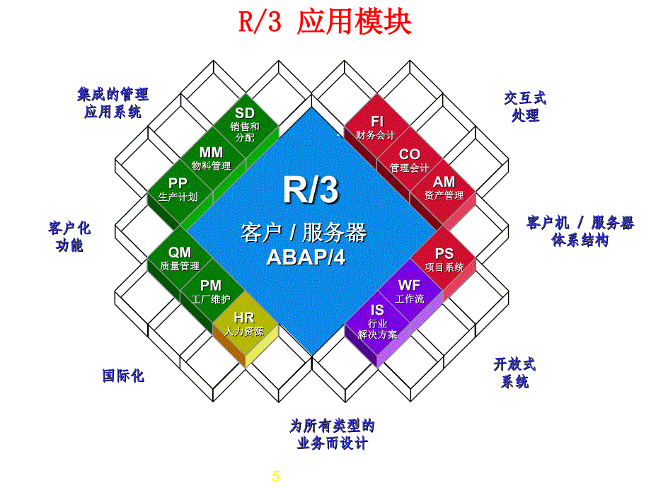 SAP BASIS手册_第5页