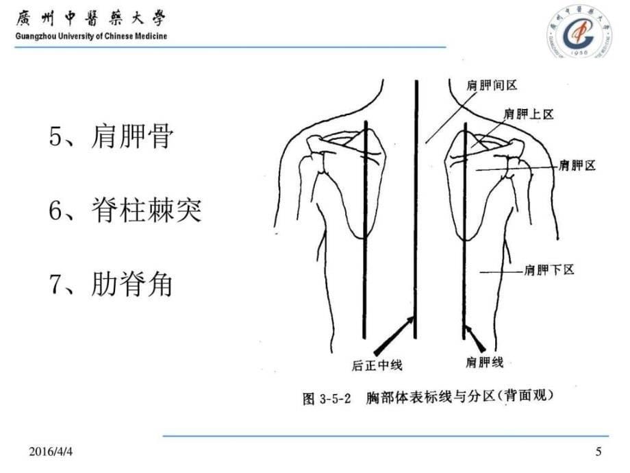 肺部的评估PPT件_第5页