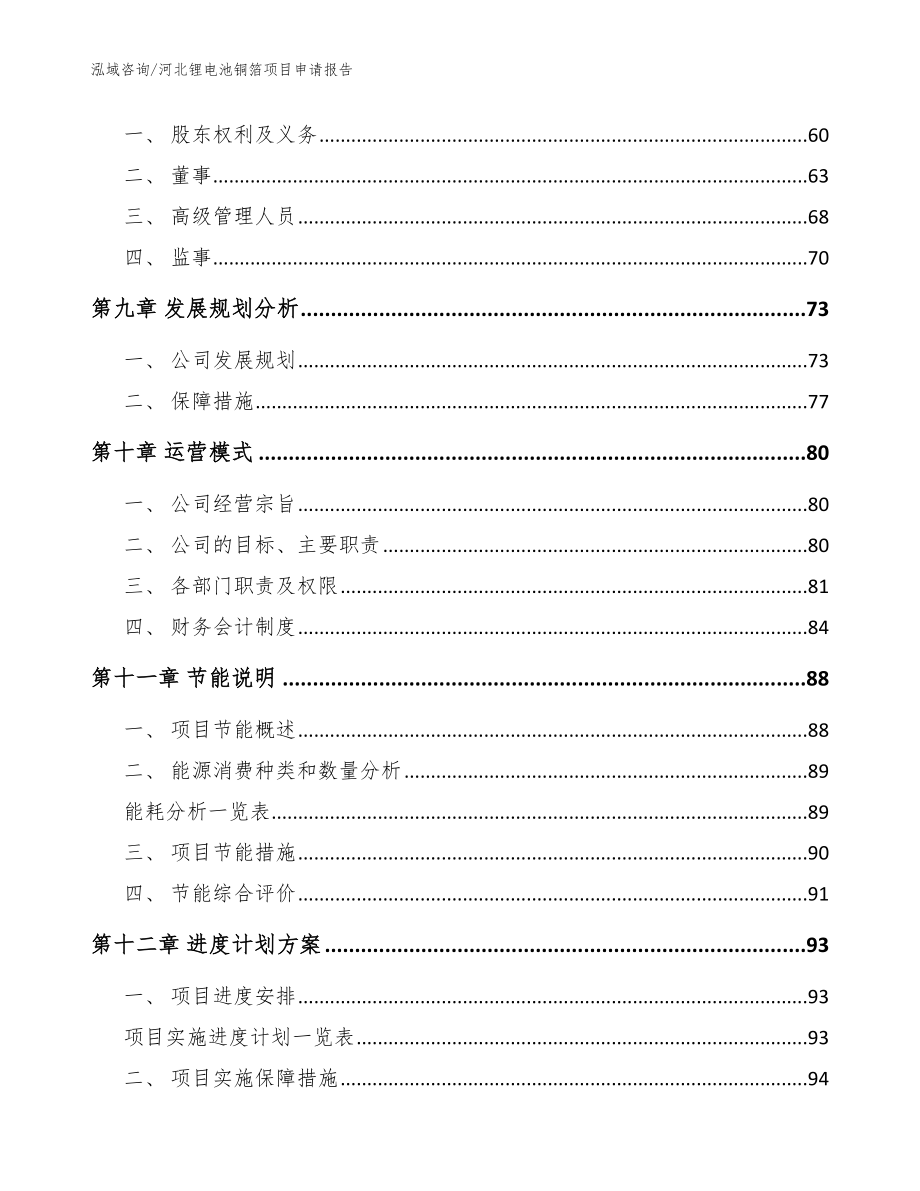 河北锂电池铜箔项目申请报告模板参考_第4页