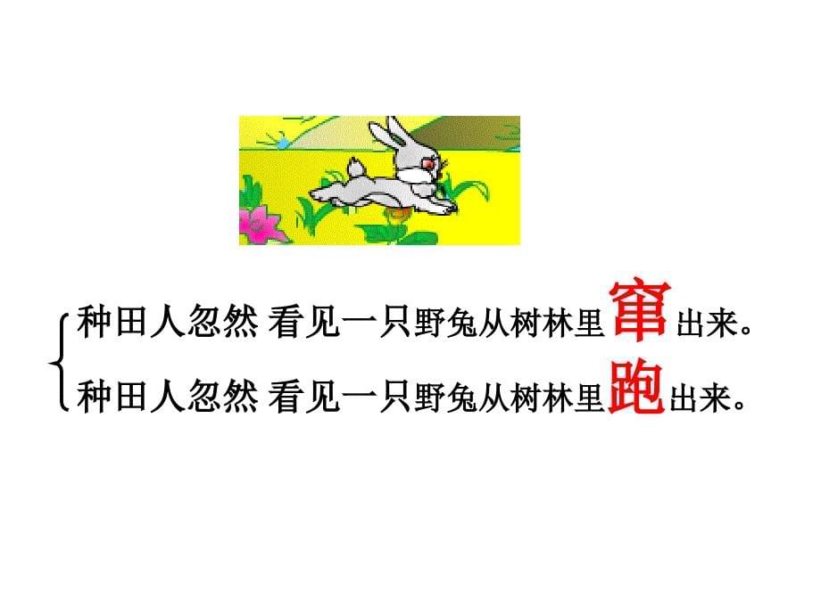 《守株待兔》课件_第5页