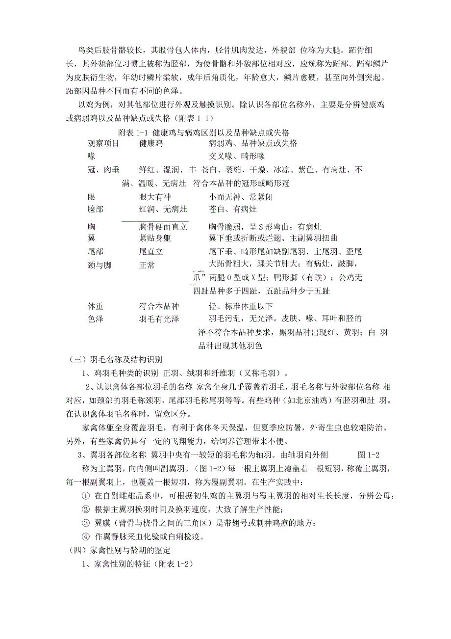 家禽的品种0_第2页