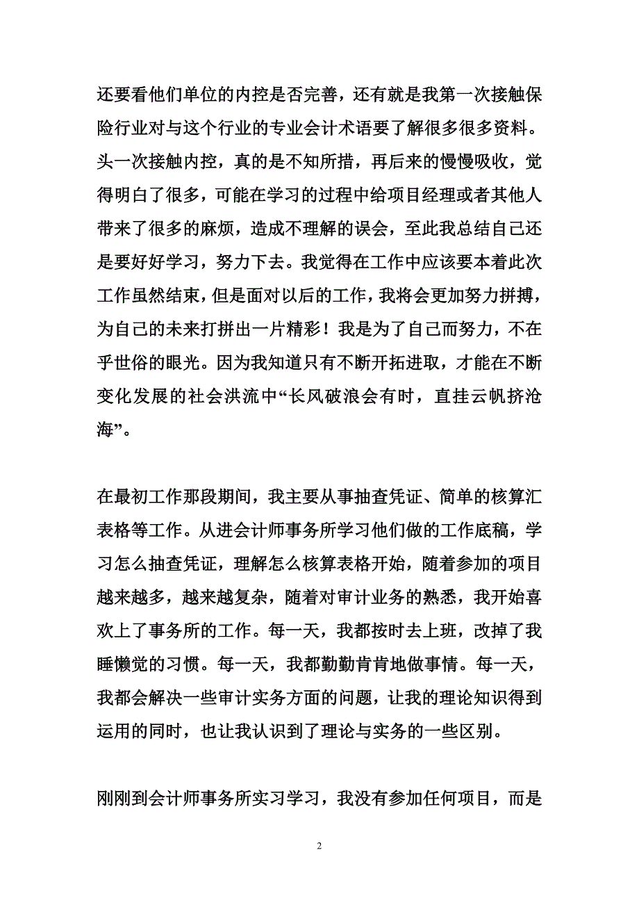 会计师事务所个人总结_第2页