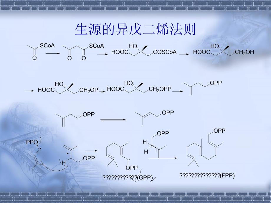 天然药物化学沈阳药科大学天然药物化学6萜类和挥发油化合物_第3页