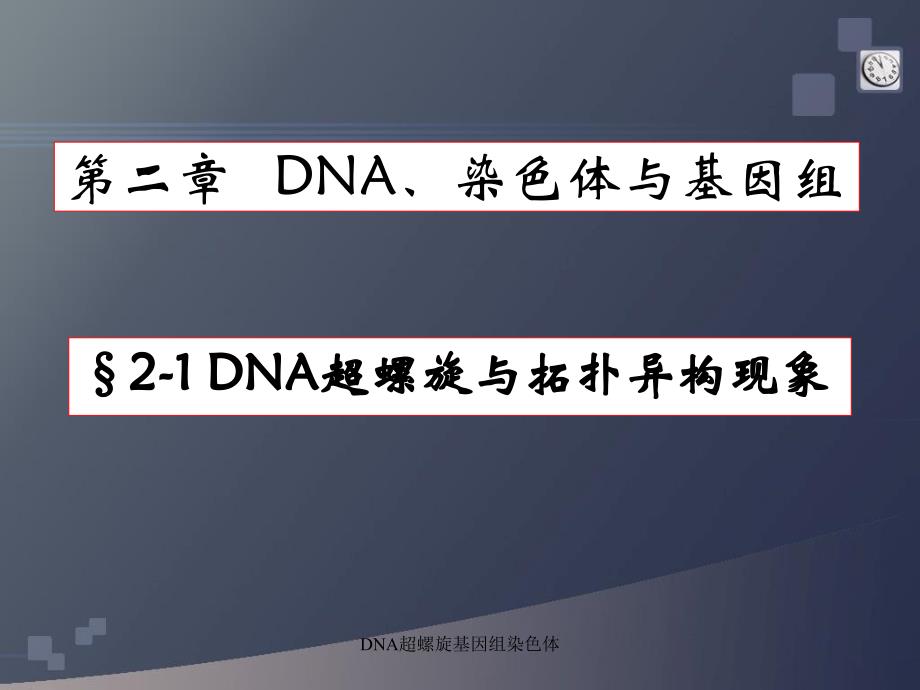 DNA超螺旋基因组染色体课件_第1页