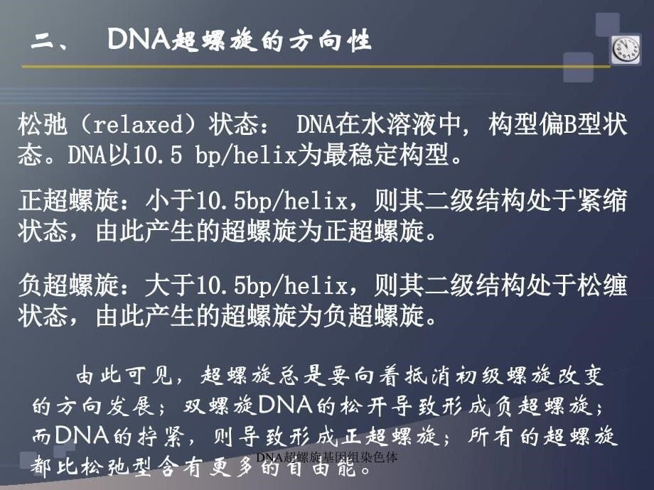 DNA超螺旋基因组染色体课件_第5页