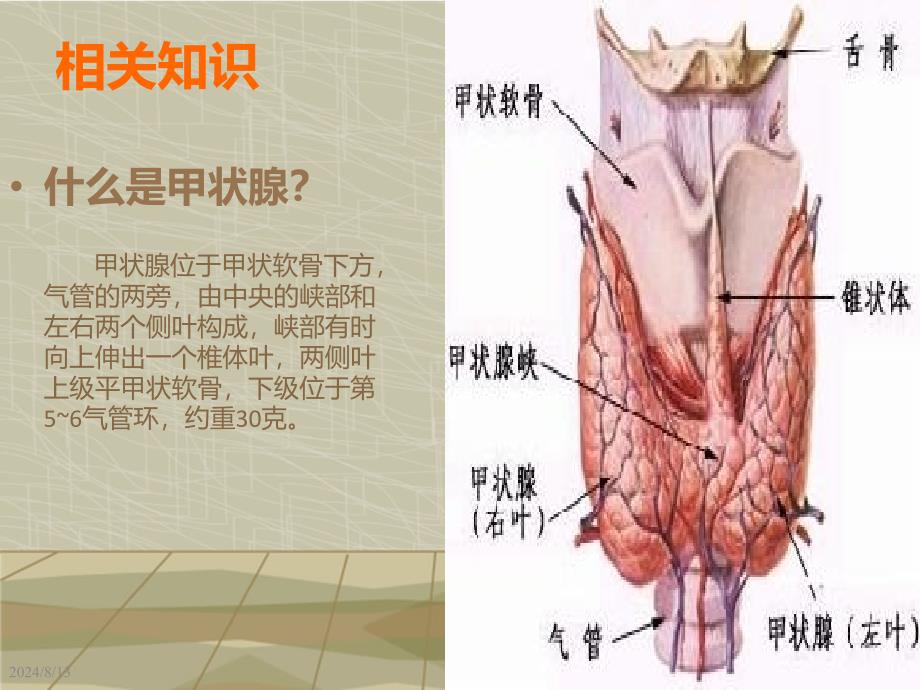 甲状腺外科护理查房详解_第3页