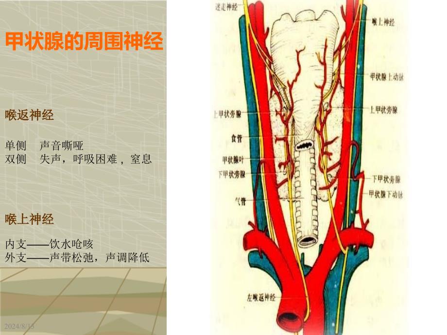 甲状腺外科护理查房详解_第4页