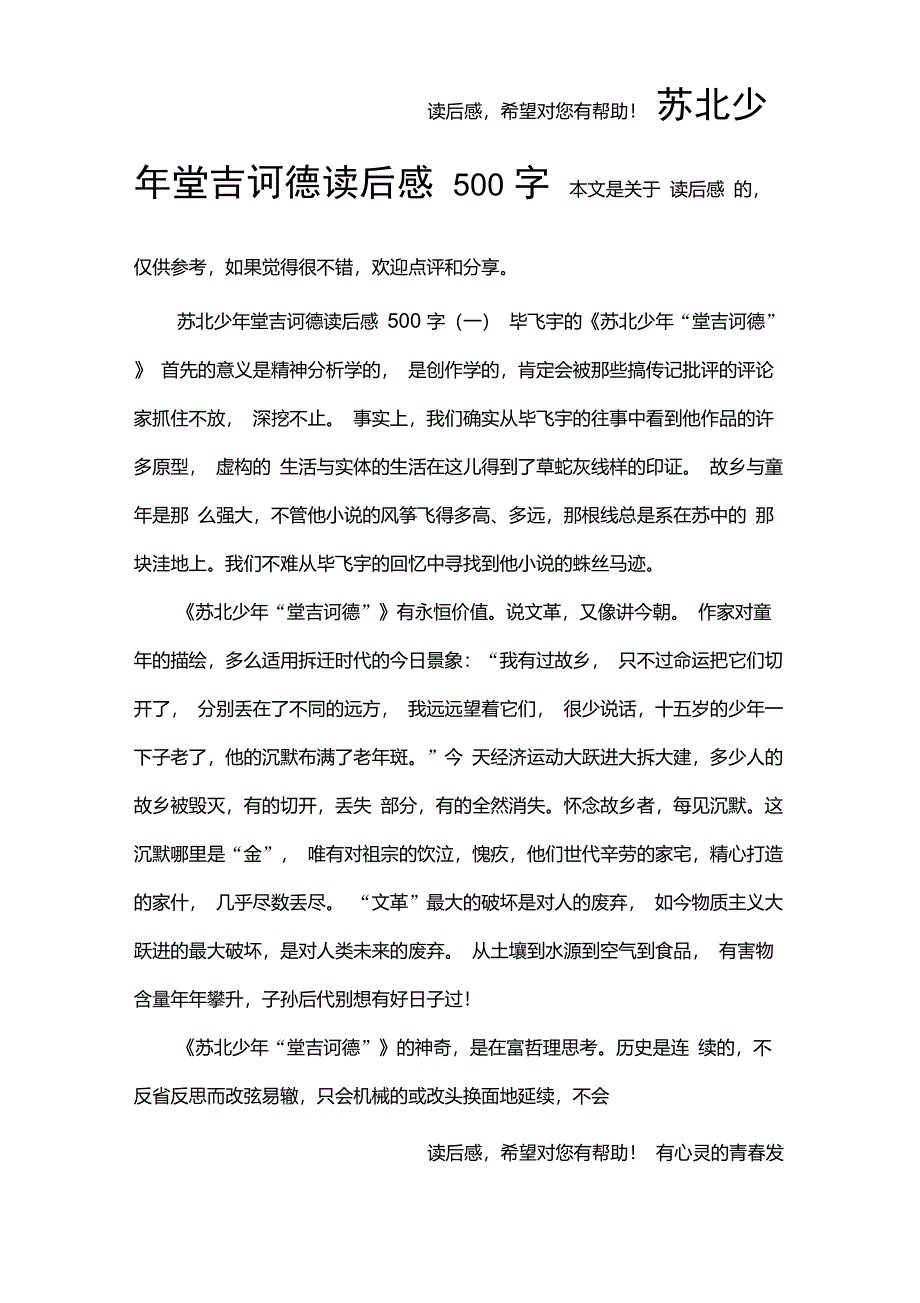 苏北少年堂吉诃德读后感500字_第1页