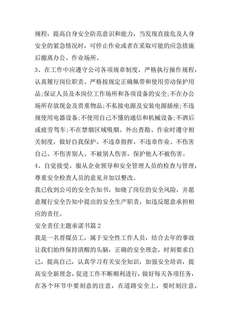 2023年安全责任主题承诺书模板合集（精选文档）_第2页