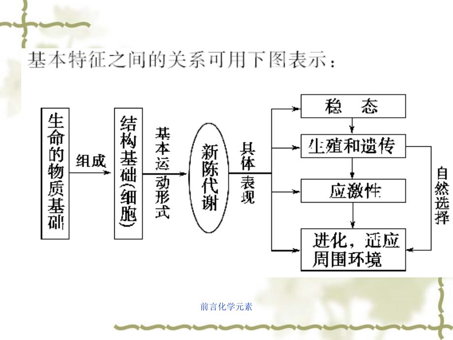 前言化学元素课件_第4页