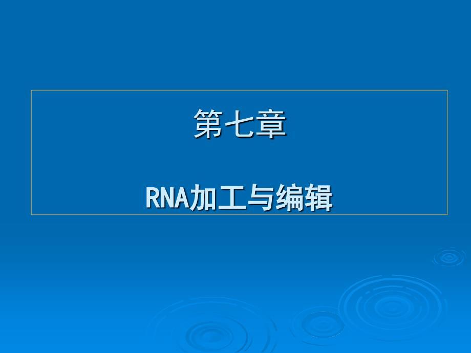 RNA加工与编辑课件