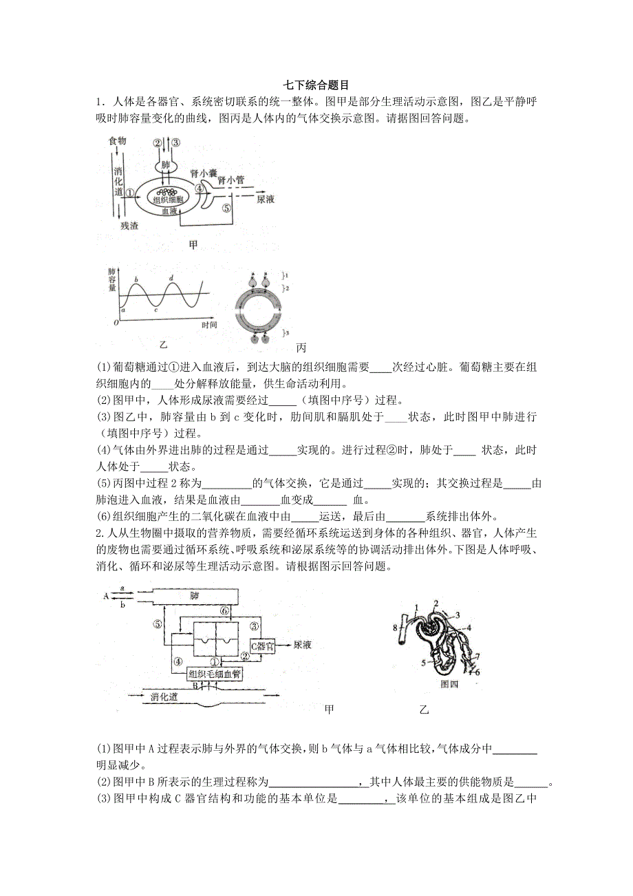 人教版生物七下综合题_第1页