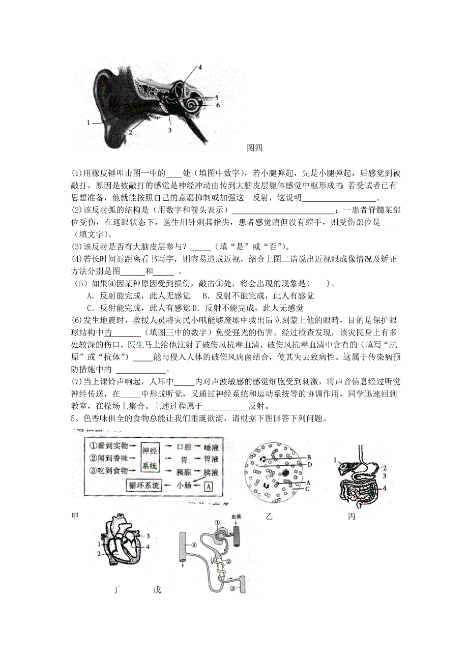 人教版生物七下综合题_第3页