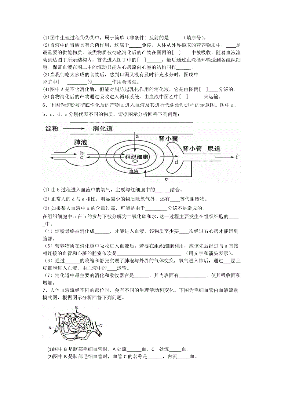 人教版生物七下综合题_第4页