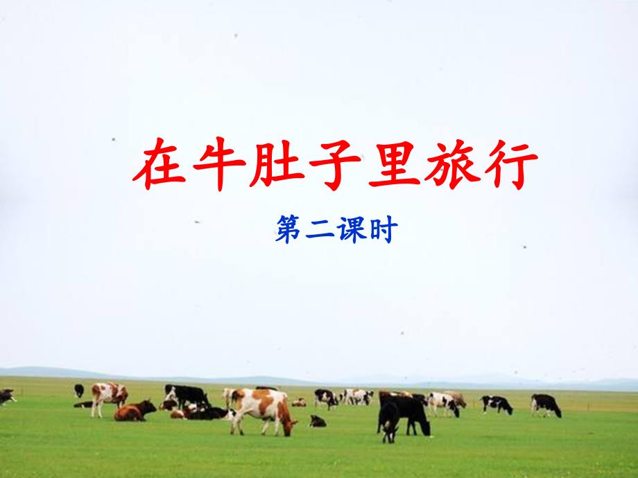 《在牛肚子里旅行》第二课时ppt课件_第1页