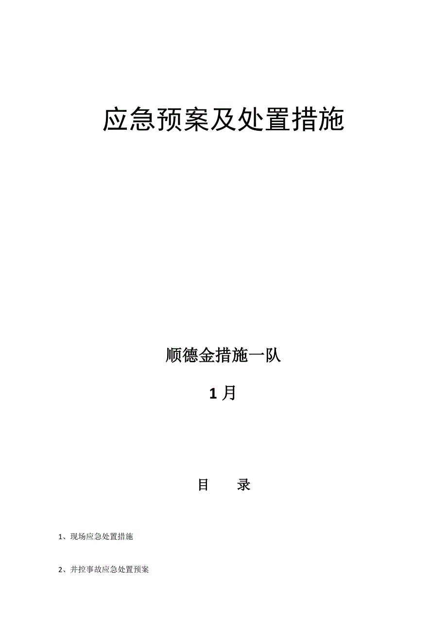 石油钻井应急全新预案及处置综合措施_第1页