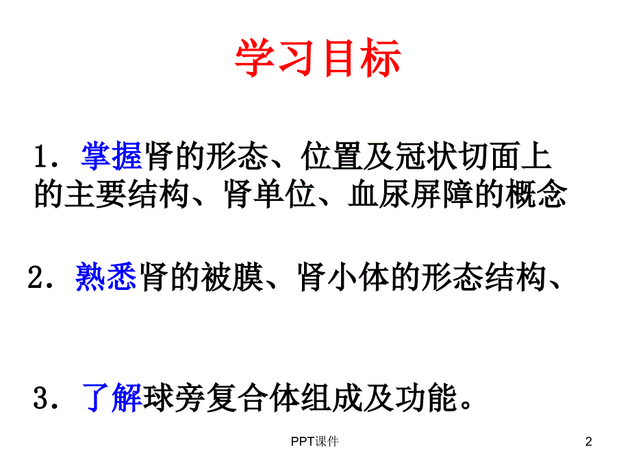 肾脏解剖ppt课件_第2页