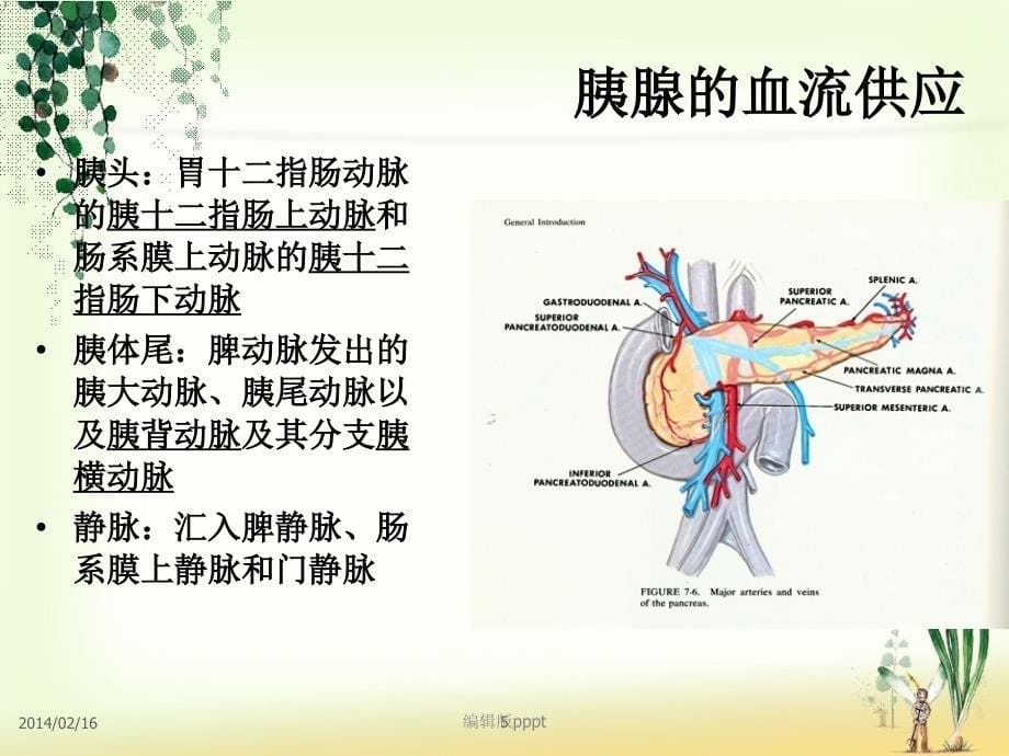 急性重症胰腺炎的观察护理;课件_第5页