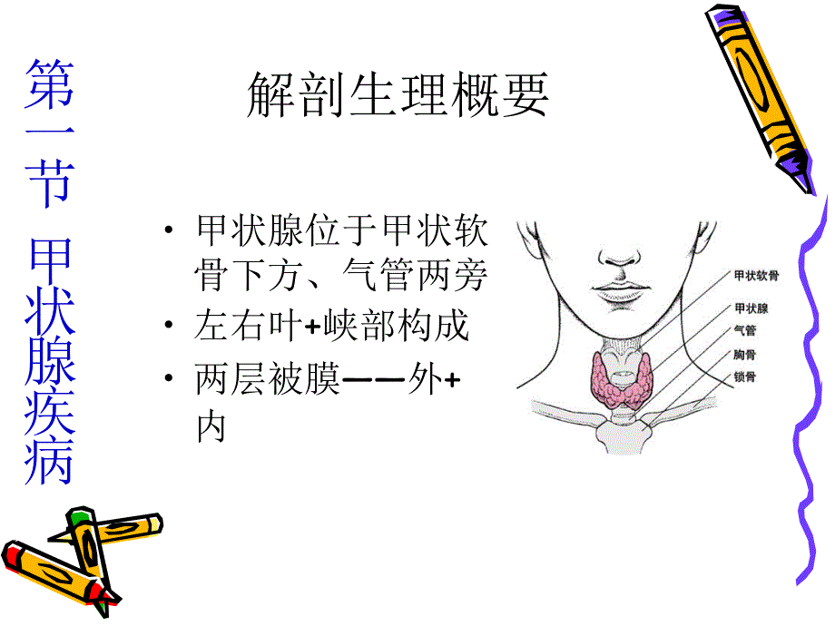 第二十四章颈部疾病一详解_第4页