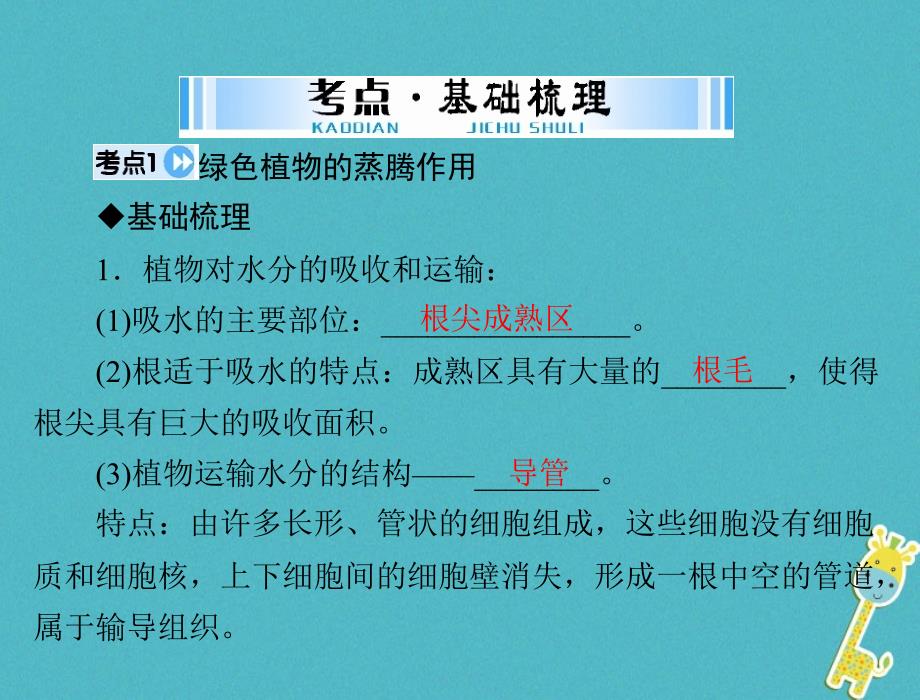 生物 梳理第三章第二讲 绿色植物的蒸腾作用、光合作用和呼吸作用_第3页